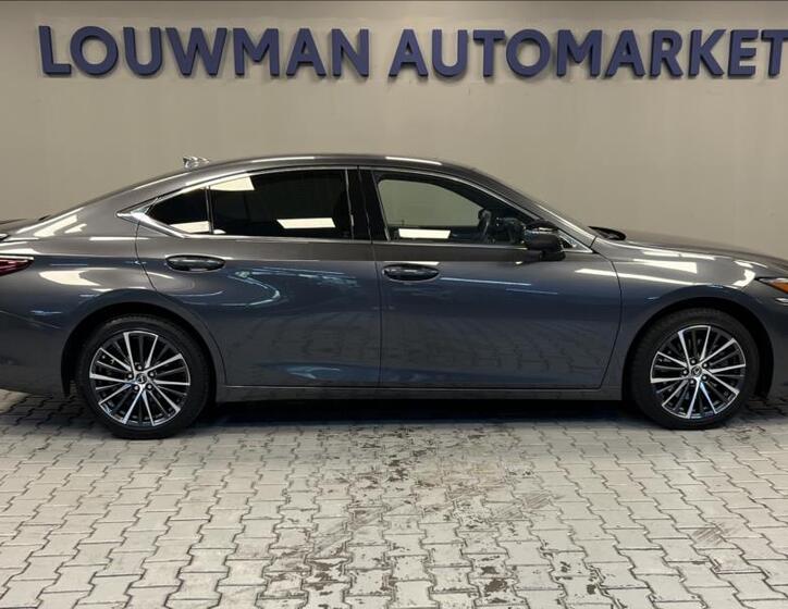 Lexus ES 300h 14