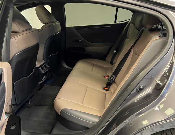 Lexus ES 300h 10