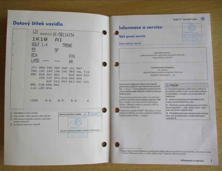 Volkswagen Golf 19