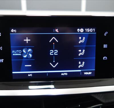 Peugeot 2008 18