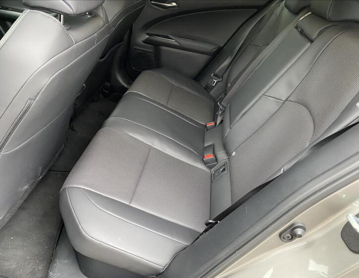 Lexus UX 250h 10