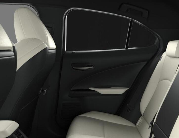 Lexus UX 300h 8