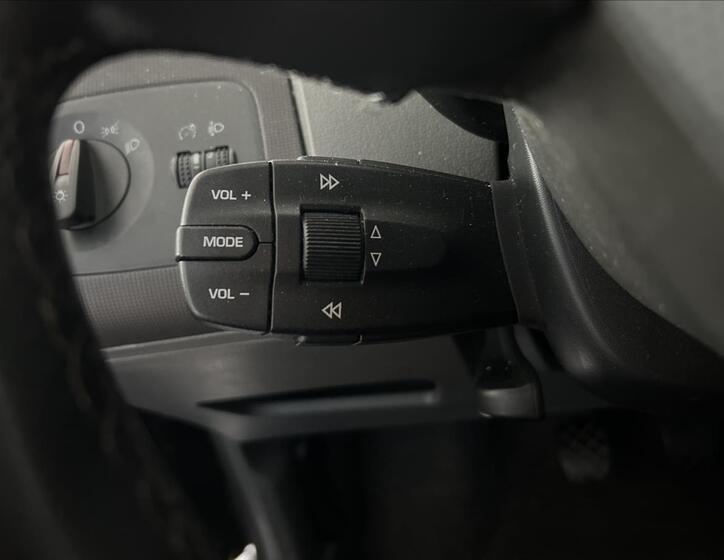 Seat Ibiza 11