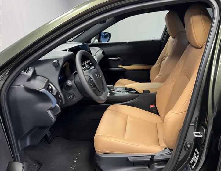 Lexus UX 300h 6