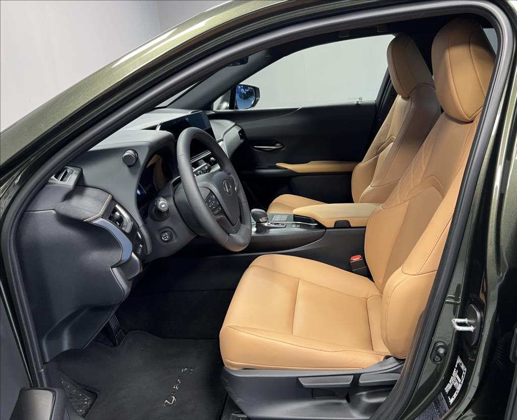 Lexus UX 300h