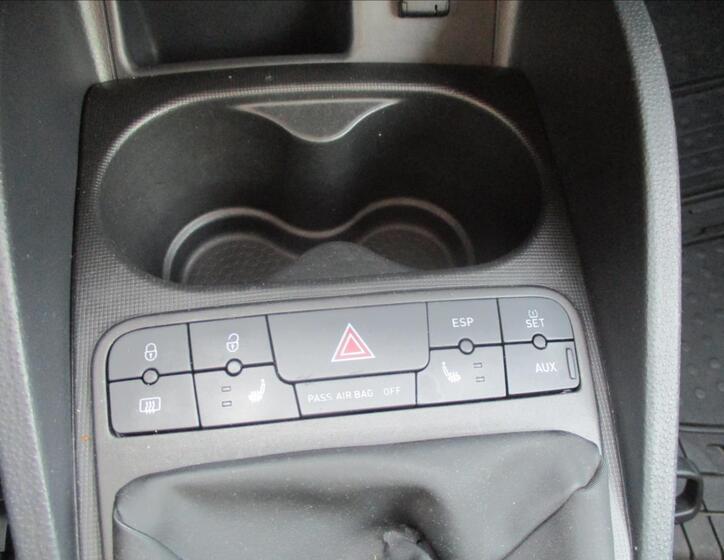 Seat Ibiza 13