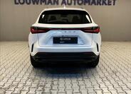 Lexus NX 350h 12