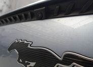 Ford Mustang Mach-E 39