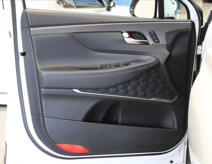 Hyundai Santa Fe 19