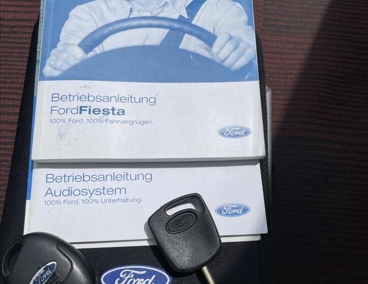 Ford Fiesta 31