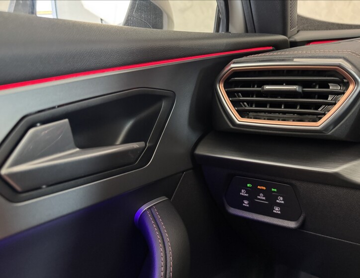 Cupra Formentor 38