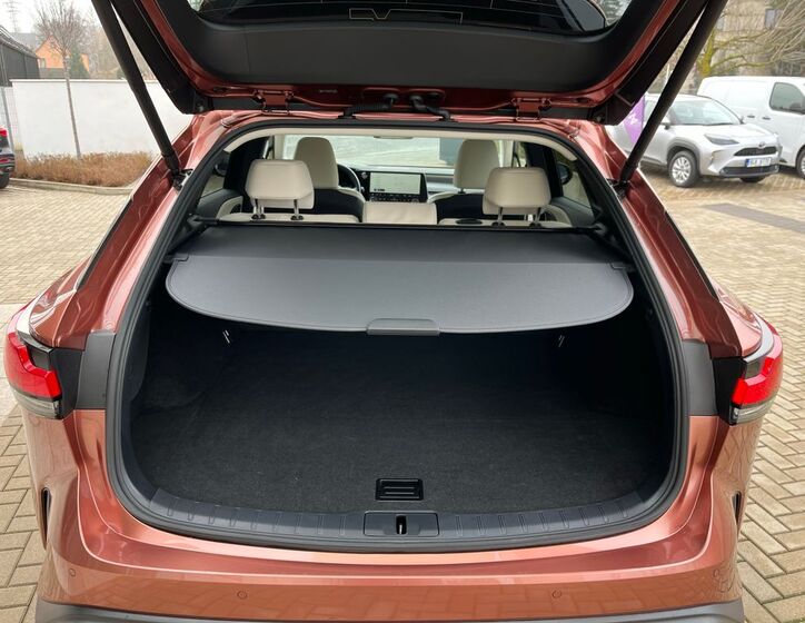 Lexus RX 450 30