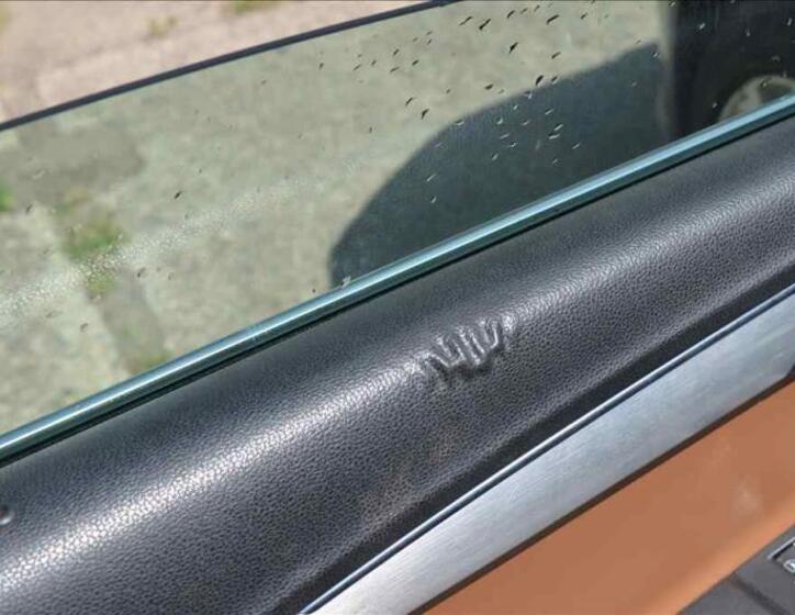 Volkswagen Passat 22