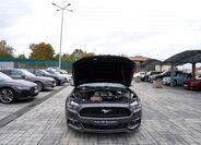 Ford Mustang 15