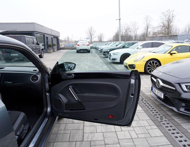 Volkswagen Beetle 18