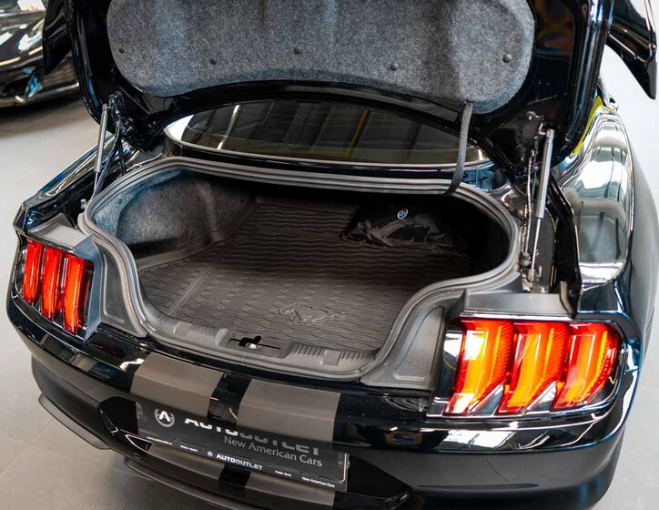 Ford Mustang 6