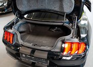 Ford Mustang 6