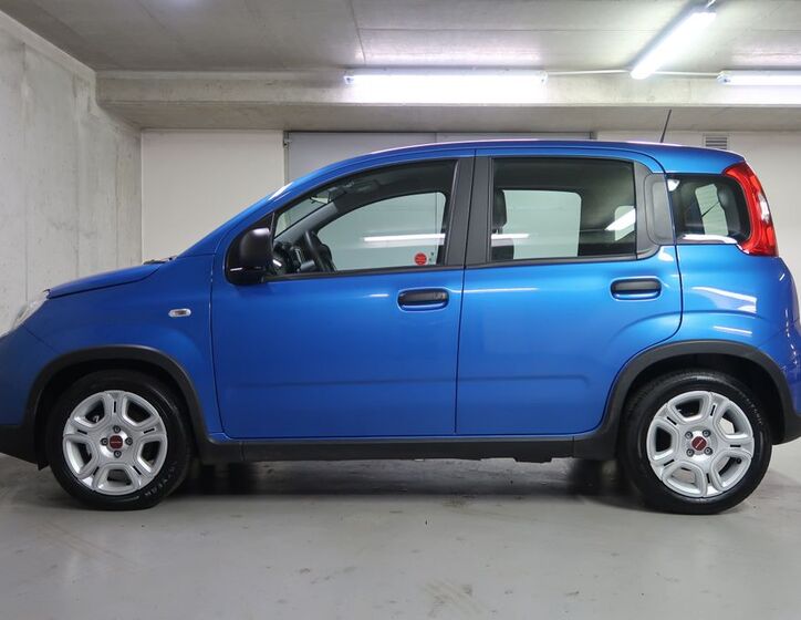 Fiat Panda 8