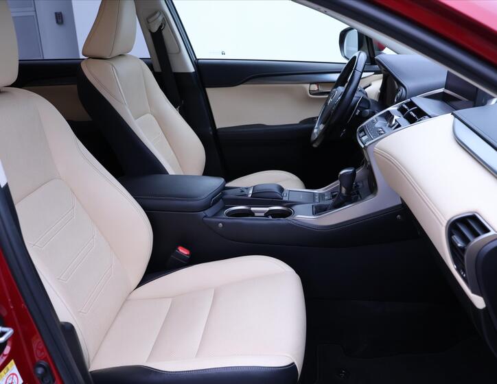 Lexus NX 300h 13