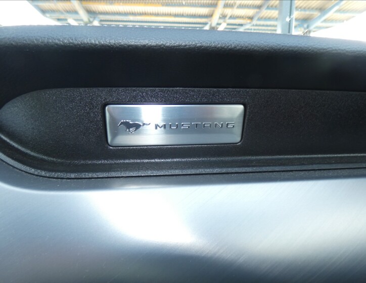 Ford Mustang 12