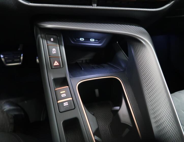 Cupra Terramar 19