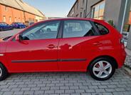 Seat Ibiza 35