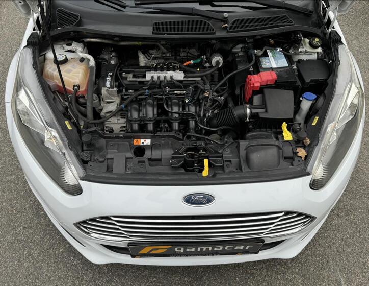 Ford Fiesta 17