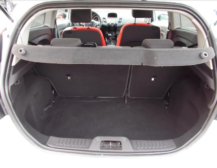 Ford Fiesta 14