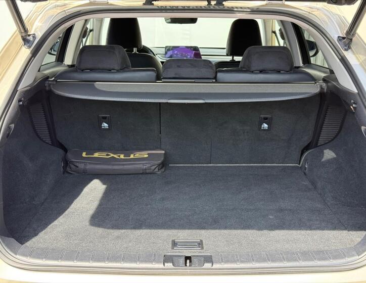 Lexus RX 450h 23