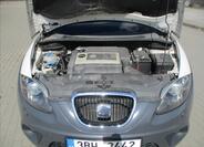Seat Altea 29