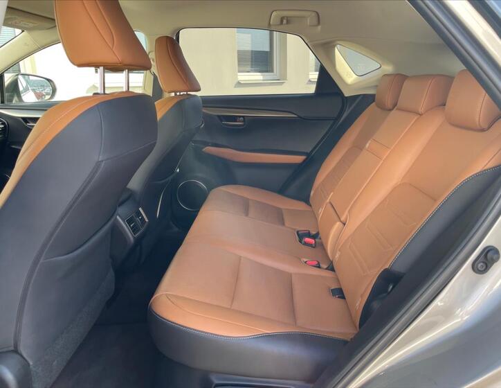 Lexus NX 300h 11