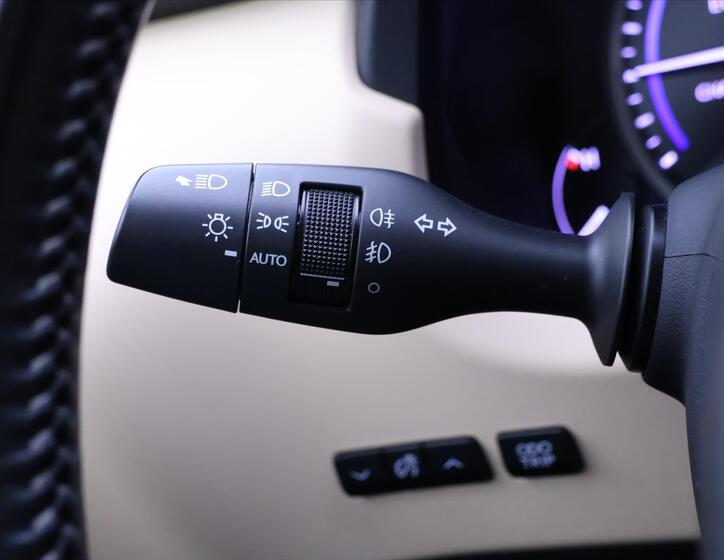 Lexus NX 300h 20