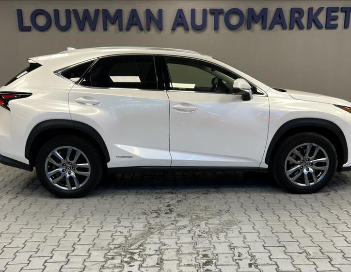 Lexus NX 300h 14