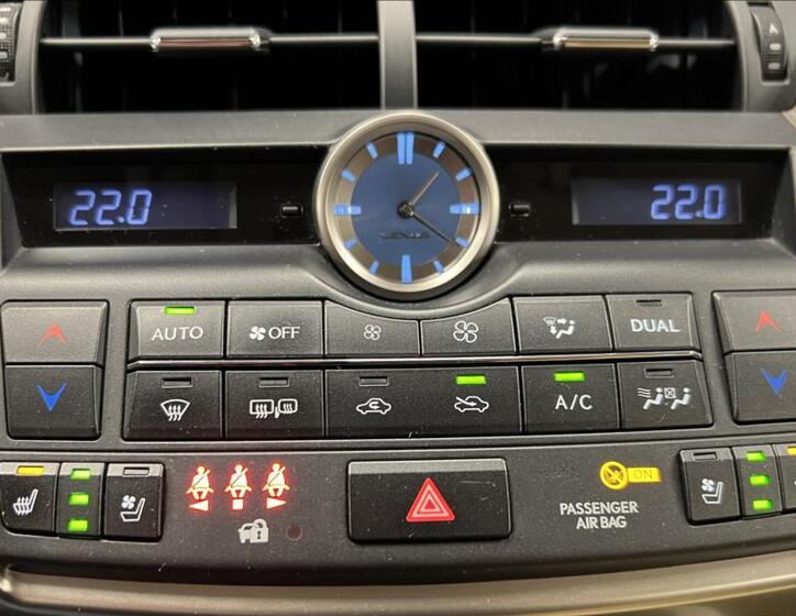 Lexus NX 300h 17