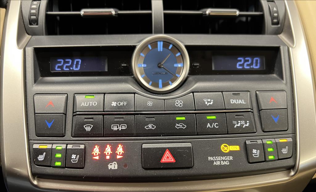 Lexus NX 300h