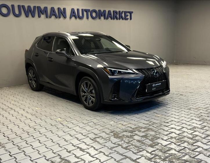 Lexus UX 300h 11