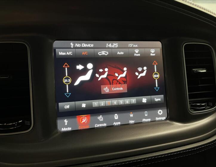 Dodge Charger 9