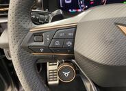 Cupra Terramar 13