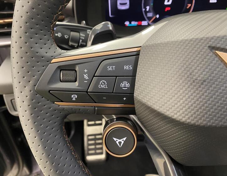 Cupra Terramar 13