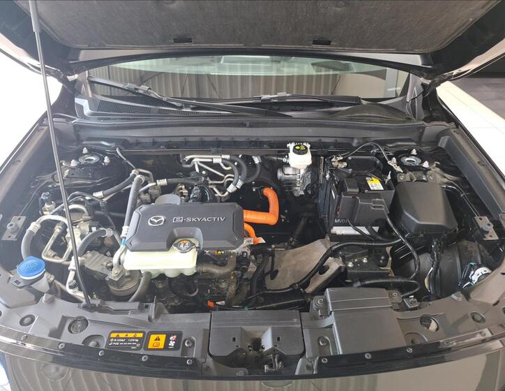 Mazda MX-30 17