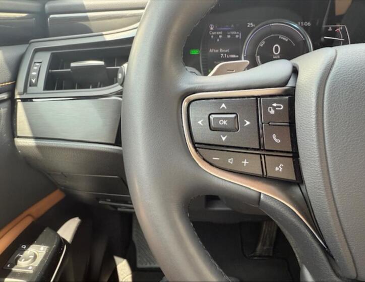 Lexus ES 300h 14