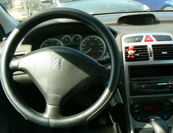 Peugeot 307 13