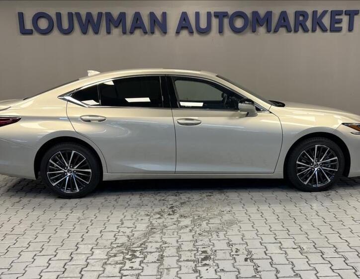Lexus ES 300h 14
