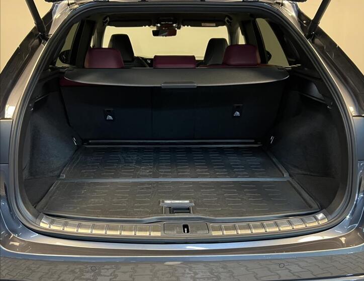 Lexus RX 500h 9