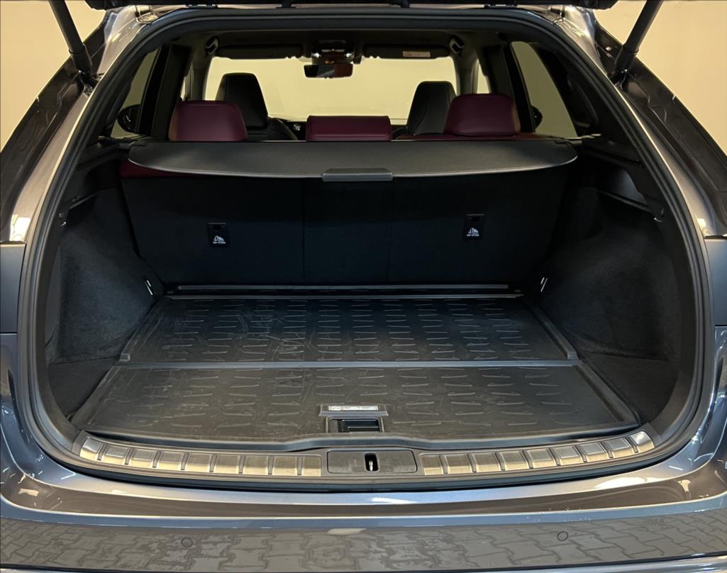 Lexus RX 500h