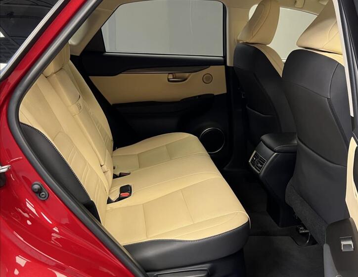 Lexus NX 300h 10