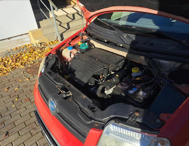 Fiat Panda 31