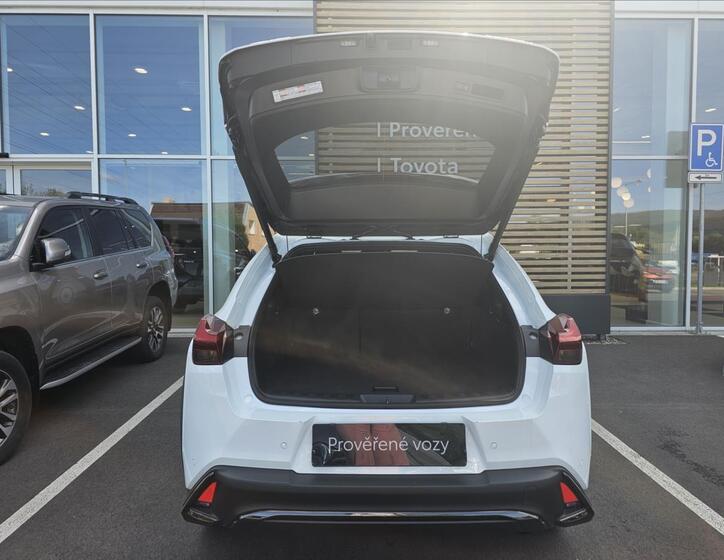 Lexus UX 300h 16