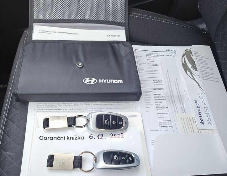 Hyundai Santa Fe 14