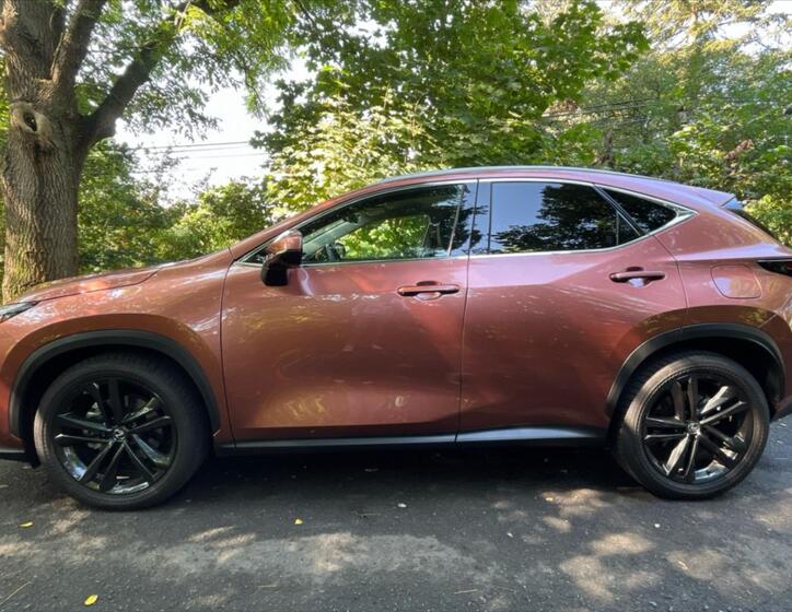 Lexus NX 350h 3